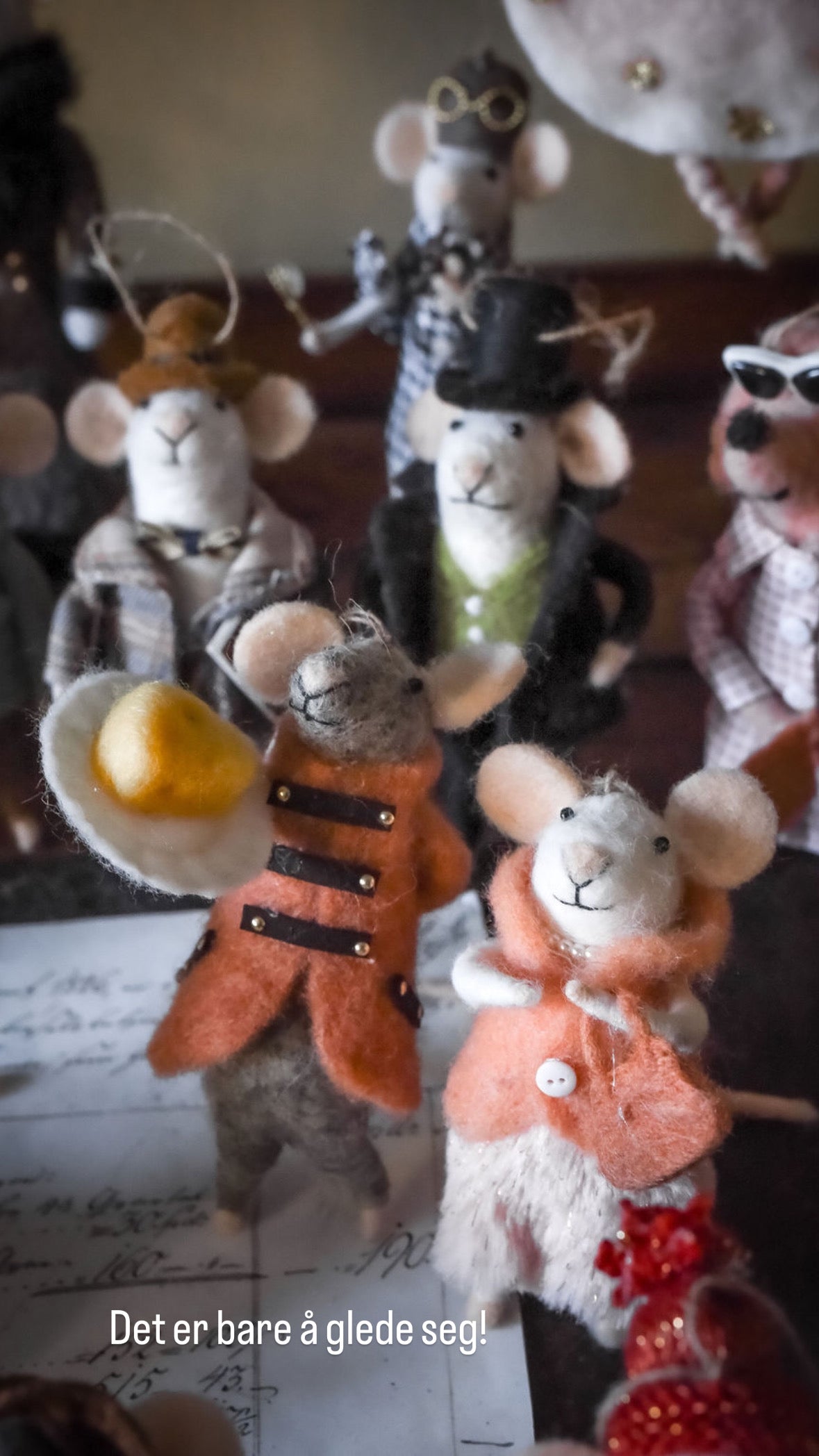 UND Ullfilt Fredrik Kongemus