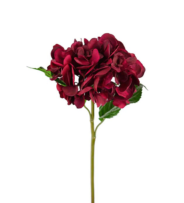Hortensia 55cm, Burgunder