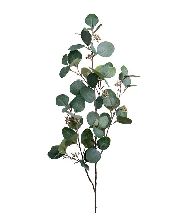 Eucalyptus med bær 100cm
