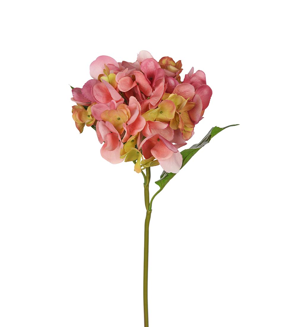 Hortensia 55 cm