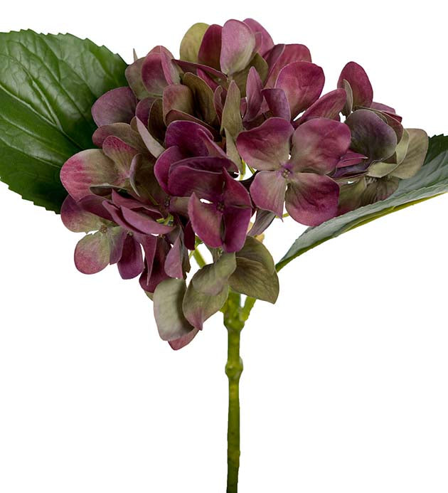 Hortensia 25cm, lilla