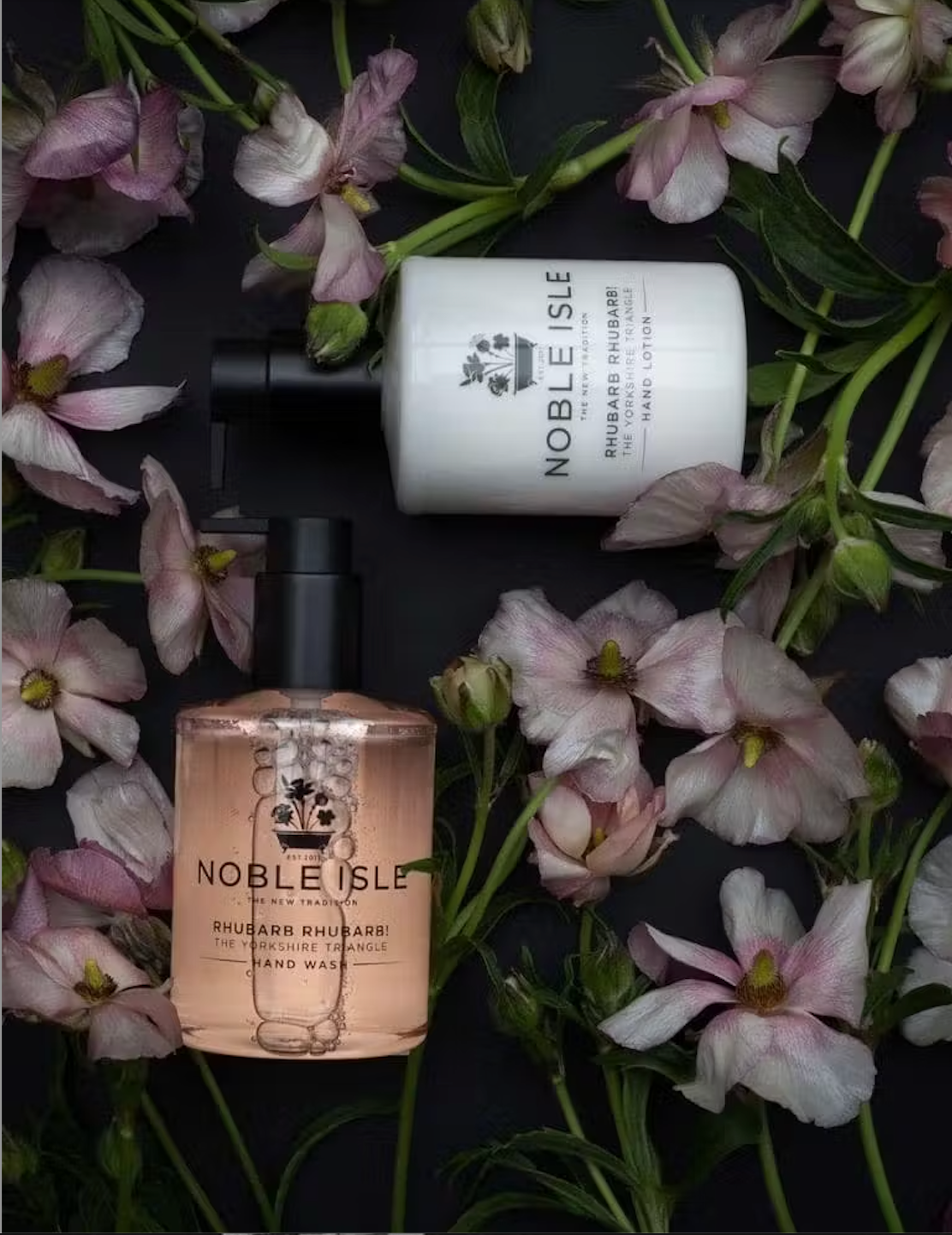NOBLE ISLE Rhubarb handcare set
